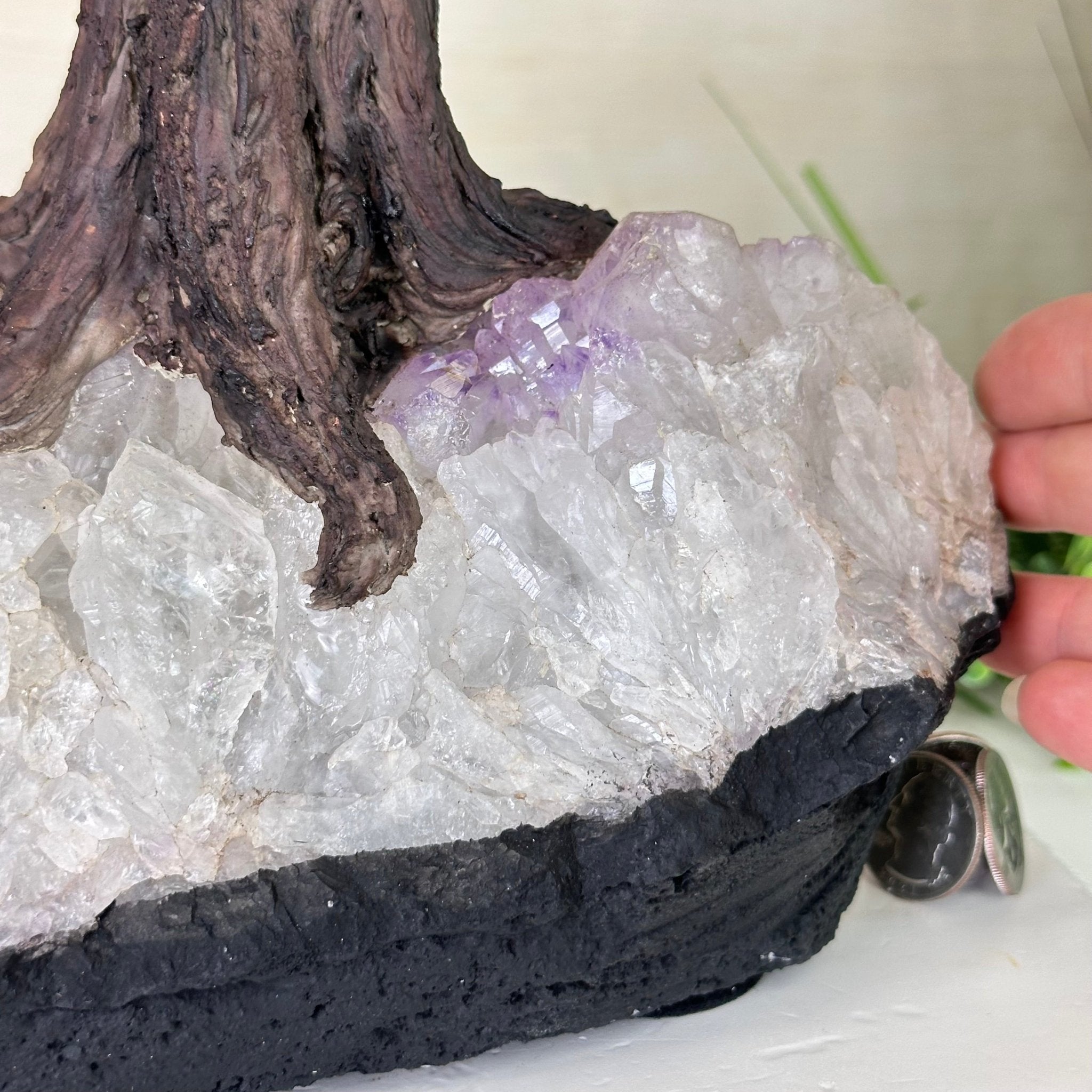 22.5" Tall Amethyst Gemstone Tree on an Amethyst base, 540 gems #5406AM - 044 - Brazil GemsBrazil Gems22.5" Tall Amethyst Gemstone Tree on an Amethyst base, 540 gems #5406AM - 044Gemstone Trees5406AM - 044