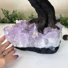 22.5" Tall Green Quartz Gemstone Tree on an Amethyst base, 540 gems #5406GQ - 017 - Brazil GemsBrazil Gems22.5" Tall Green Quartz Gemstone Tree on an Amethyst base, 540 gems #5406GQ - 017Gemstone Trees5406GQ - 017