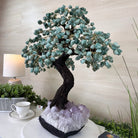 22.5" Tall Green Quartz Gemstone Tree on an Amethyst base, 540 gems #5406GQ - 017 - Brazil GemsBrazil Gems22.5" Tall Green Quartz Gemstone Tree on an Amethyst base, 540 gems #5406GQ - 017Gemstone Trees5406GQ - 017