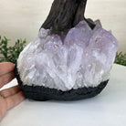 22.5" Tall Green Quartz Gemstone Tree on an Amethyst base, 540 gems #5406GQ - 017 - Brazil GemsBrazil Gems22.5" Tall Green Quartz Gemstone Tree on an Amethyst base, 540 gems #5406GQ - 017Gemstone Trees5406GQ - 017