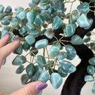 22.5" Tall Green Quartz Gemstone Tree on an Amethyst base, 540 gems #5406GQ - 017 - Brazil GemsBrazil Gems22.5" Tall Green Quartz Gemstone Tree on an Amethyst base, 540 gems #5406GQ - 017Gemstone Trees5406GQ - 017