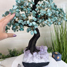 22.5" Tall Green Quartz Gemstone Tree on an Amethyst base, 540 gems #5406GQ - 017 - Brazil GemsBrazil Gems22.5" Tall Green Quartz Gemstone Tree on an Amethyst base, 540 gems #5406GQ - 017Gemstone Trees5406GQ - 017