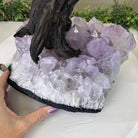 22.5" Tall Green Quartz Gemstone Tree on an Amethyst base, 540 gems #5406GQ - 017 - Brazil GemsBrazil Gems22.5" Tall Green Quartz Gemstone Tree on an Amethyst base, 540 gems #5406GQ - 017Gemstone Trees5406GQ - 017