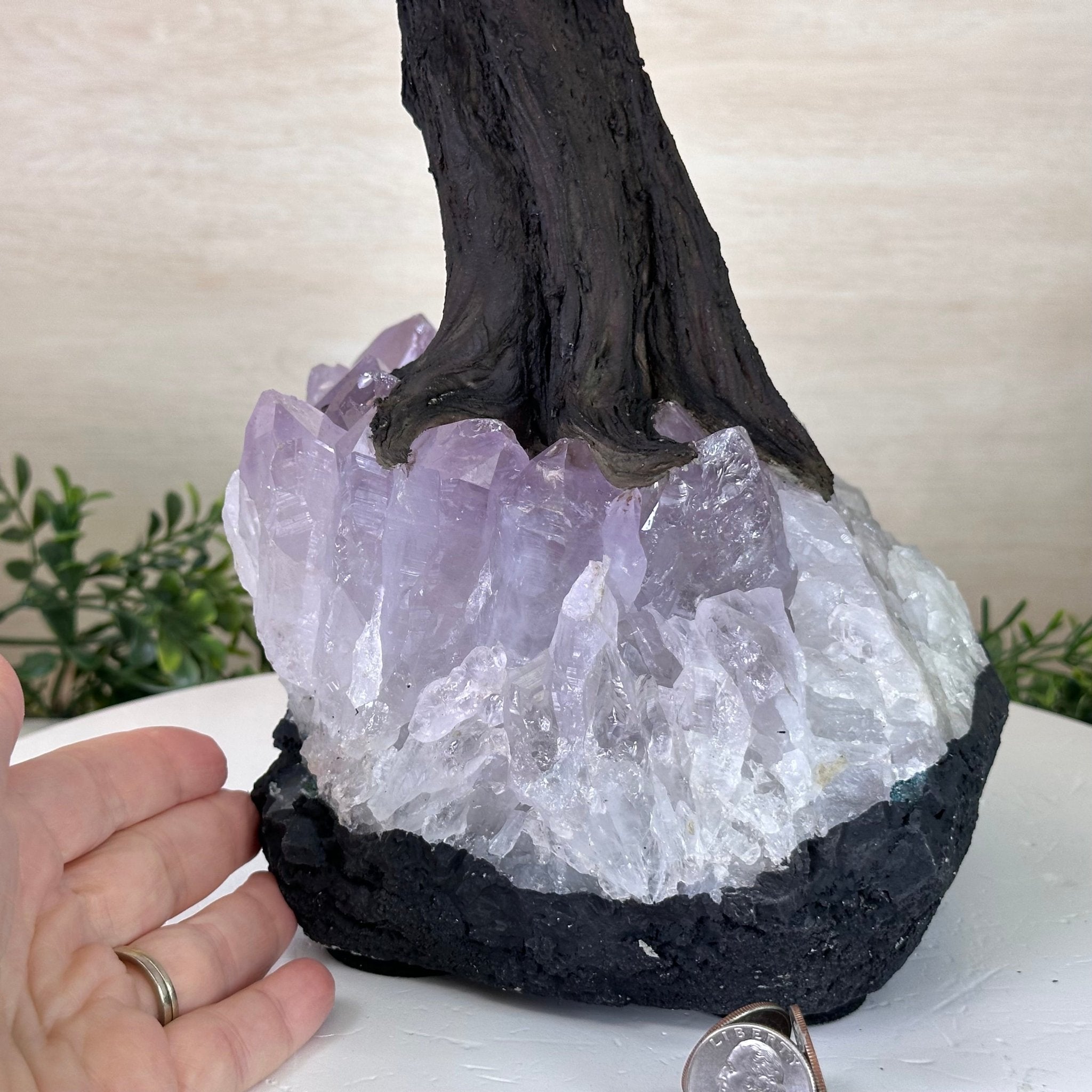 22.5" Tall Green Quartz Gemstone Tree on an Amethyst base, 540 gems #5406GQ - 017 - Brazil GemsBrazil Gems22.5" Tall Green Quartz Gemstone Tree on an Amethyst base, 540 gems #5406GQ - 017Gemstone Trees5406GQ - 017