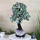 22.5" Tall Green Quartz Gemstone Tree on an Amethyst base, 540 gems #5406GQ - 017 - Brazil GemsBrazil Gems22.5" Tall Green Quartz Gemstone Tree on an Amethyst base, 540 gems #5406GQ - 017Gemstone Trees5406GQ - 017