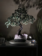 22.5" Tall Green Quartz Gemstone Tree on an Amethyst base, 540 gems #5406GQ - 017 - Brazil GemsBrazil Gems22.5" Tall Green Quartz Gemstone Tree on an Amethyst base, 540 gems #5406GQ - 017Gemstone Trees5406GQ - 017