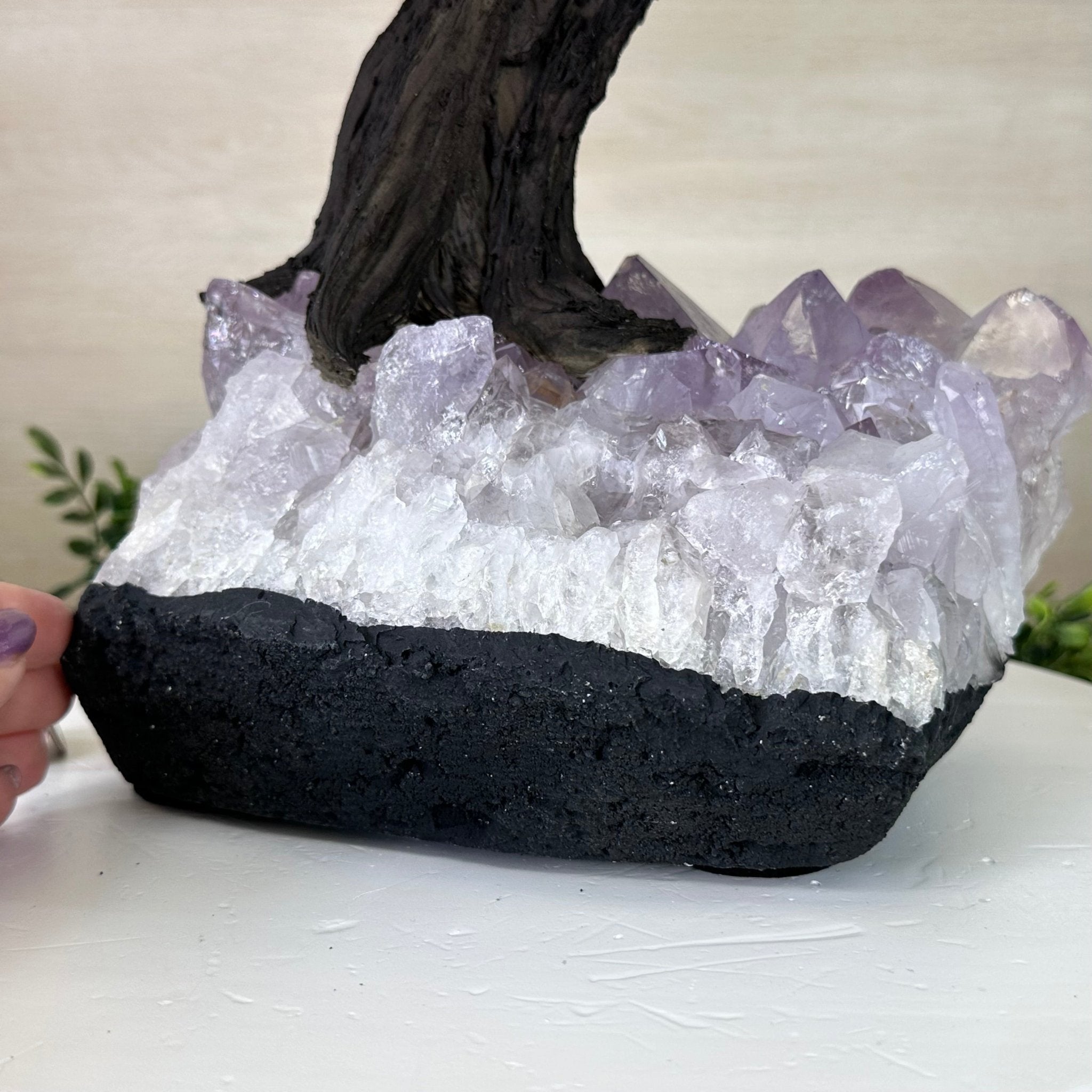 22.5" Tall Green Quartz Gemstone Tree on an Amethyst base, 540 gems #5406GQ - 017 - Brazil GemsBrazil Gems22.5" Tall Green Quartz Gemstone Tree on an Amethyst base, 540 gems #5406GQ - 017Gemstone Trees5406GQ - 017