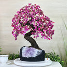 22.5" Tall Pink Agate Gemstone Tree on an Amethyst base, 540 gems #5406PA - 005 - Brazil GemsBrazil Gems22.5" Tall Pink Agate Gemstone Tree on an Amethyst base, 540 gems #5406PA - 005Gemstone Trees5406PA - 005