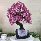 22.5" Tall Pink Agate Gemstone Tree on an Amethyst base, 540 gems #5406PA - 005 - Brazil GemsBrazil Gems22.5" Tall Pink Agate Gemstone Tree on an Amethyst base, 540 gems #5406PA - 005Gemstone Trees5406PA - 005