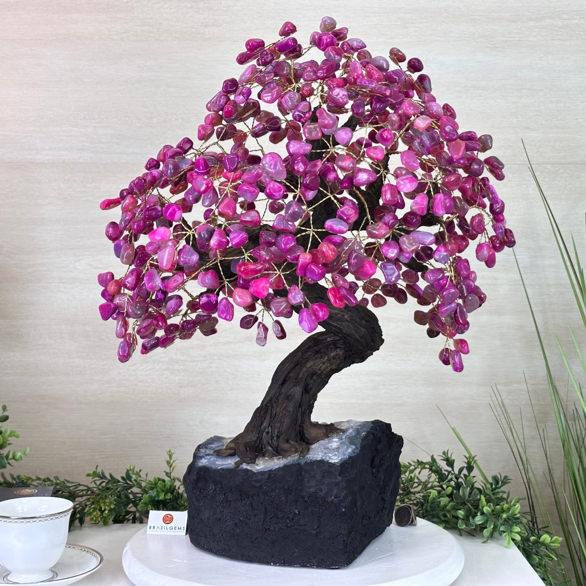 22.5" Tall Pink Agate Gemstone Tree on an Amethyst base, 540 gems #5406PA - 005 - Brazil GemsBrazil Gems22.5" Tall Pink Agate Gemstone Tree on an Amethyst base, 540 gems #5406PA - 005Gemstone Trees5406PA - 005