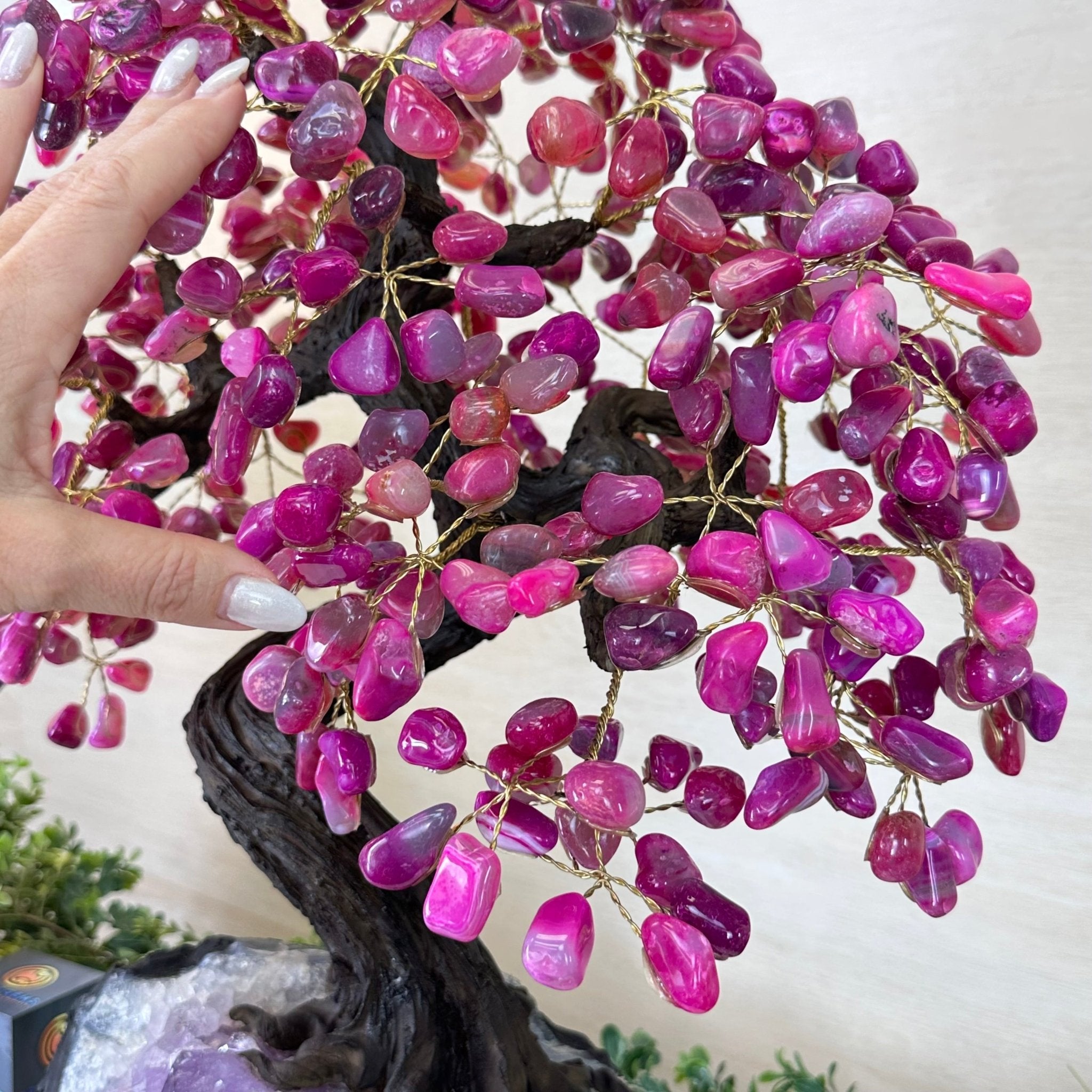 22.5" Tall Pink Agate Gemstone Tree on an Amethyst base, 540 gems #5406PA - 005 - Brazil GemsBrazil Gems22.5" Tall Pink Agate Gemstone Tree on an Amethyst base, 540 gems #5406PA - 005Gemstone Trees5406PA - 005