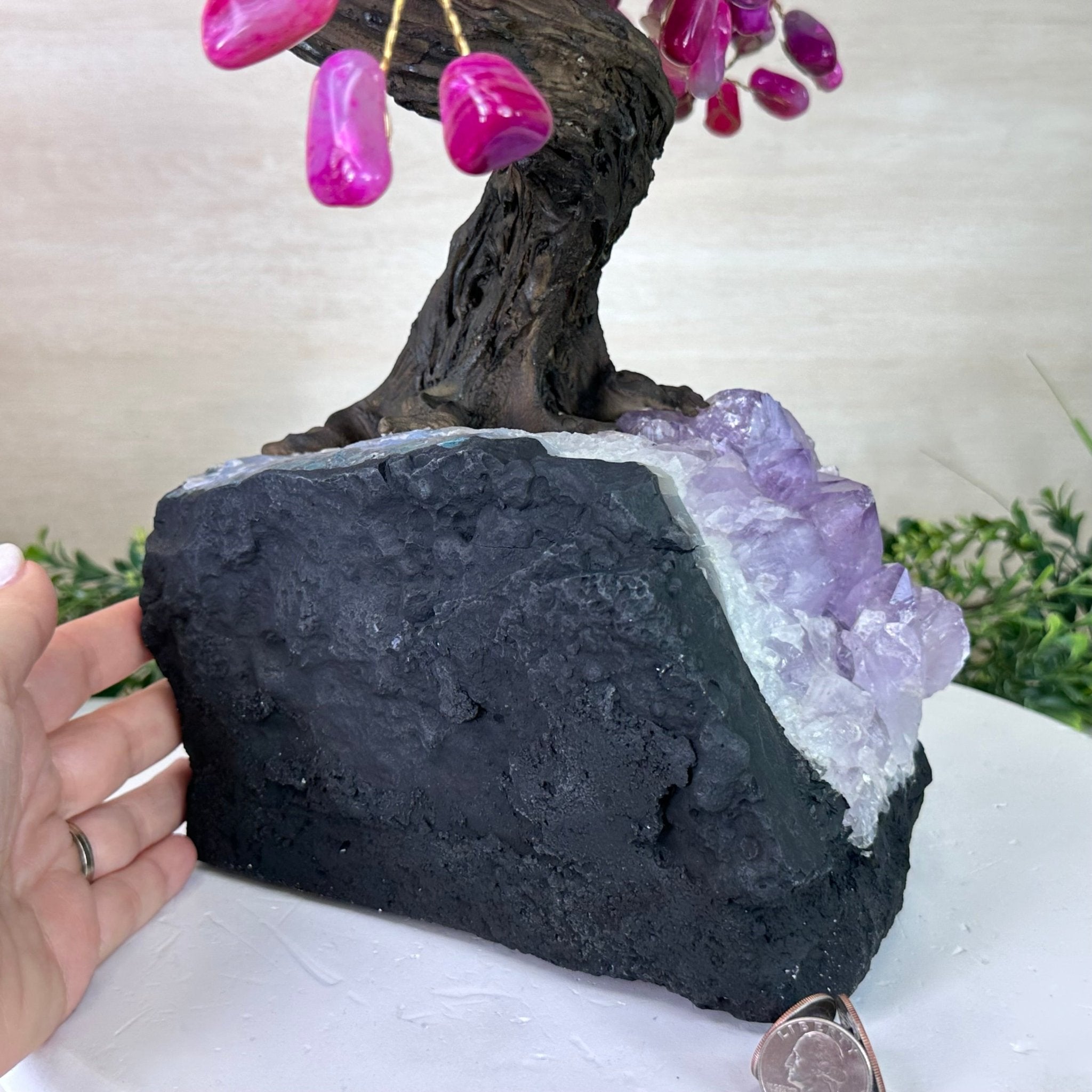 22.5" Tall Pink Agate Gemstone Tree on an Amethyst base, 540 gems #5406PA - 005 - Brazil GemsBrazil Gems22.5" Tall Pink Agate Gemstone Tree on an Amethyst base, 540 gems #5406PA - 005Gemstone Trees5406PA - 005