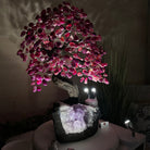 22.5" Tall Pink Agate Gemstone Tree on an Amethyst base, 540 gems #5406PA - 005 - Brazil GemsBrazil Gems22.5" Tall Pink Agate Gemstone Tree on an Amethyst base, 540 gems #5406PA - 005Gemstone Trees5406PA - 005