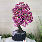 22.5" Tall Pink Agate Gemstone Tree on an Amethyst base, 540 gems #5406PA - 005 - Brazil GemsBrazil Gems22.5" Tall Pink Agate Gemstone Tree on an Amethyst base, 540 gems #5406PA - 005Gemstone Trees5406PA - 005