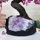 22.5" Tall Pink Agate Gemstone Tree on an Amethyst base, 540 gems #5406PA - 005 - Brazil GemsBrazil Gems22.5" Tall Pink Agate Gemstone Tree on an Amethyst base, 540 gems #5406PA - 005Gemstone Trees5406PA - 005