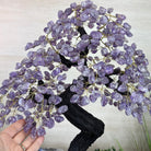 22.7" Tall Amethyst Gemstone Tree on an Amethyst base, 540 gems #5406AM - 041 - Brazil GemsBrazil Gems22.7" Tall Amethyst Gemstone Tree on an Amethyst base, 540 gems #5406AM - 041Gemstone Trees5406AM - 041