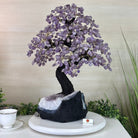 22.7" Tall Amethyst Gemstone Tree on an Amethyst base, 540 gems #5406AM - 041 - Brazil GemsBrazil Gems22.7" Tall Amethyst Gemstone Tree on an Amethyst base, 540 gems #5406AM - 041Gemstone Trees5406AM - 041