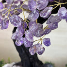 22.7" Tall Amethyst Gemstone Tree on an Amethyst base, 540 gems #5406AM - 041 - Brazil GemsBrazil Gems22.7" Tall Amethyst Gemstone Tree on an Amethyst base, 540 gems #5406AM - 041Gemstone Trees5406AM - 041