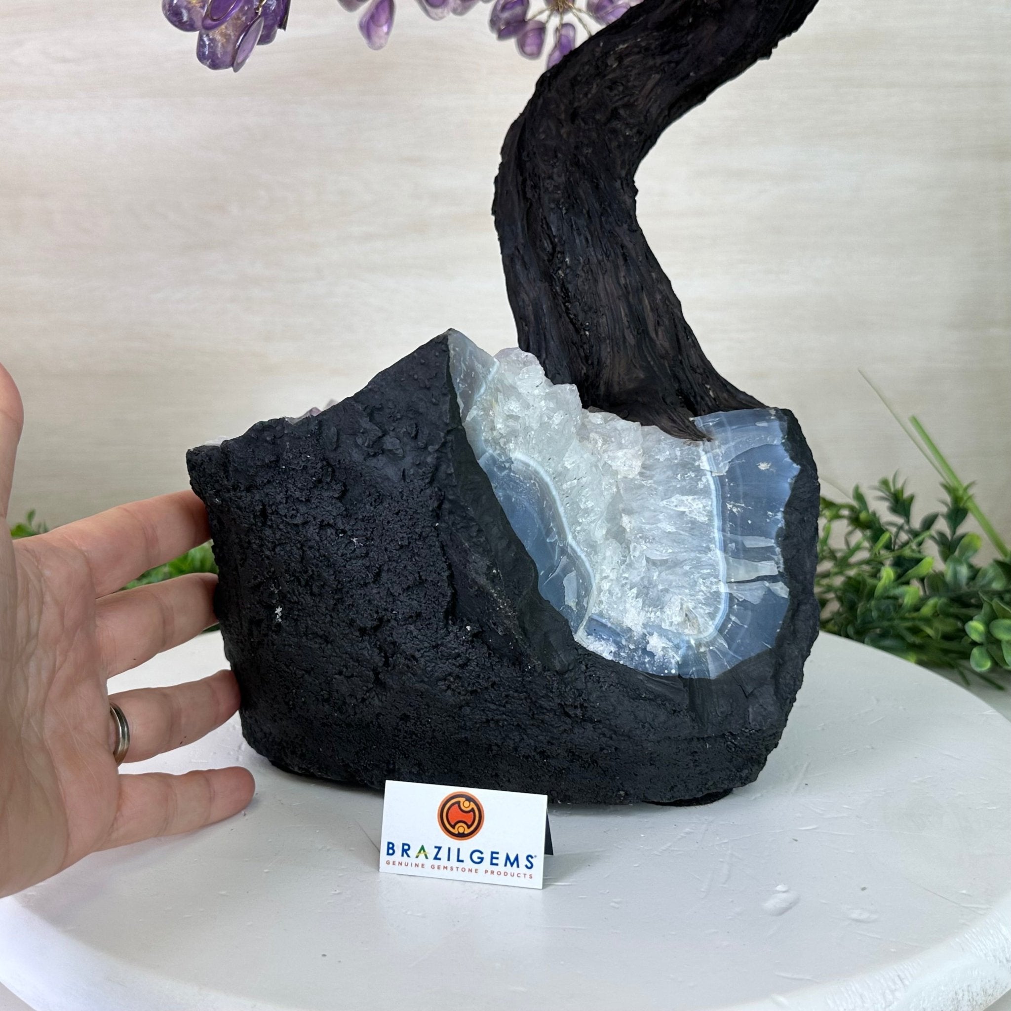 22.7" Tall Amethyst Gemstone Tree on an Amethyst base, 540 gems #5406AM - 041 - Brazil GemsBrazil Gems22.7" Tall Amethyst Gemstone Tree on an Amethyst base, 540 gems #5406AM - 041Gemstone Trees5406AM - 041