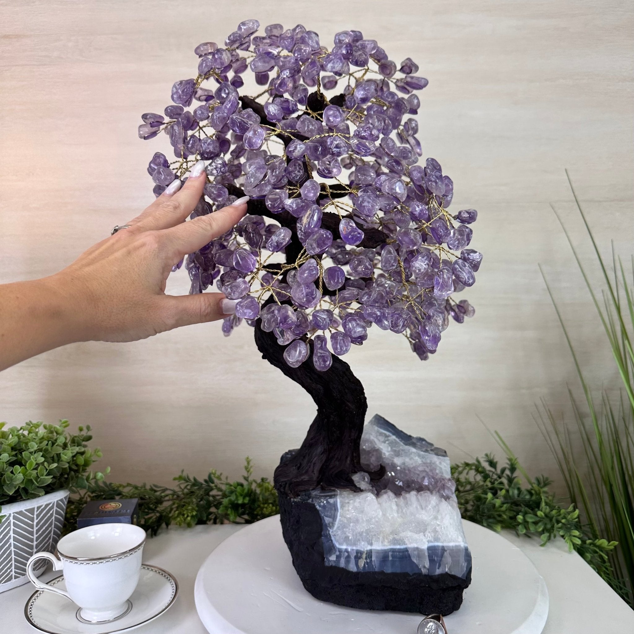 22.7" Tall Amethyst Gemstone Tree on an Amethyst base, 540 gems #5406AM - 041 - Brazil GemsBrazil Gems22.7" Tall Amethyst Gemstone Tree on an Amethyst base, 540 gems #5406AM - 041Gemstone Trees5406AM - 041