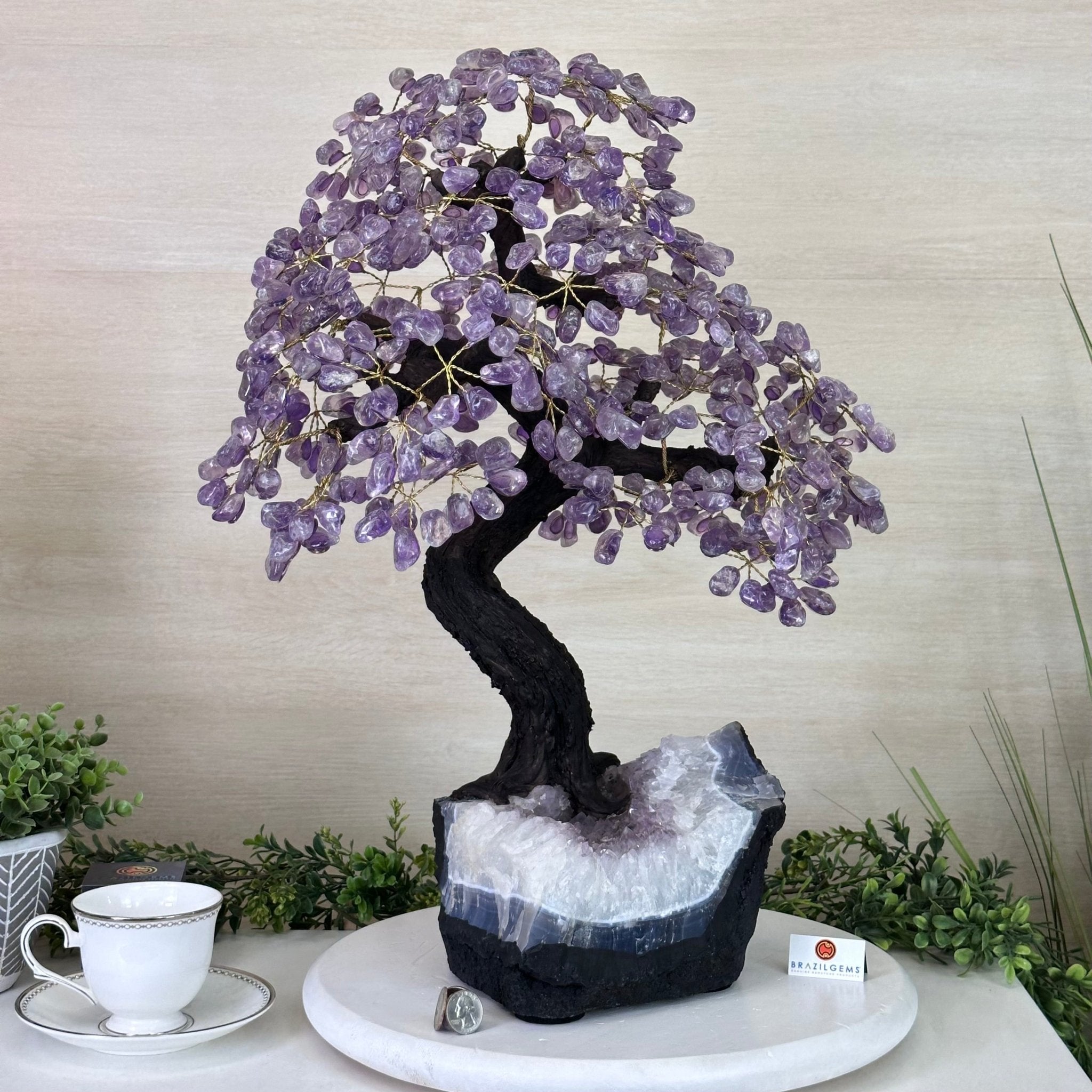 22.7" Tall Amethyst Gemstone Tree on an Amethyst base, 540 gems #5406AM - 041 - Brazil GemsBrazil Gems22.7" Tall Amethyst Gemstone Tree on an Amethyst base, 540 gems #5406AM - 041Gemstone Trees5406AM - 041