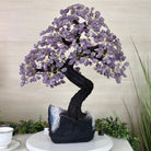 22.7" Tall Amethyst Gemstone Tree on an Amethyst base, 540 gems #5406AM - 041 - Brazil GemsBrazil Gems22.7" Tall Amethyst Gemstone Tree on an Amethyst base, 540 gems #5406AM - 041Gemstone Trees5406AM - 041