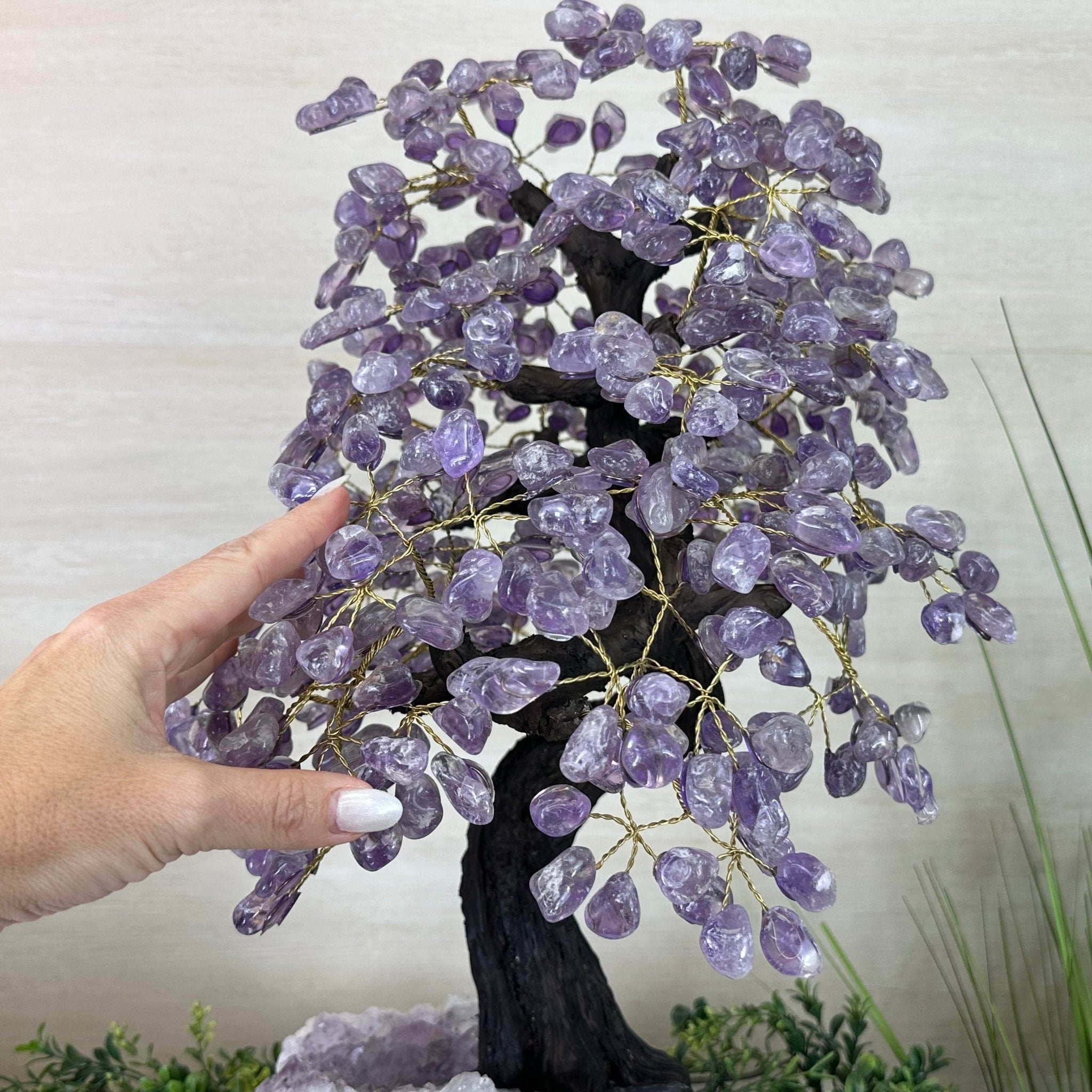 22.7" Tall Amethyst Gemstone Tree on an Amethyst base, 540 gems #5406AM - 041 - Brazil GemsBrazil Gems22.7" Tall Amethyst Gemstone Tree on an Amethyst base, 540 gems #5406AM - 041Gemstone Trees5406AM - 041