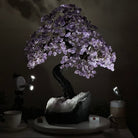 22.7" Tall Amethyst Gemstone Tree on an Amethyst base, 540 gems #5406AM - 041 - Brazil GemsBrazil Gems22.7" Tall Amethyst Gemstone Tree on an Amethyst base, 540 gems #5406AM - 041Gemstone Trees5406AM - 041