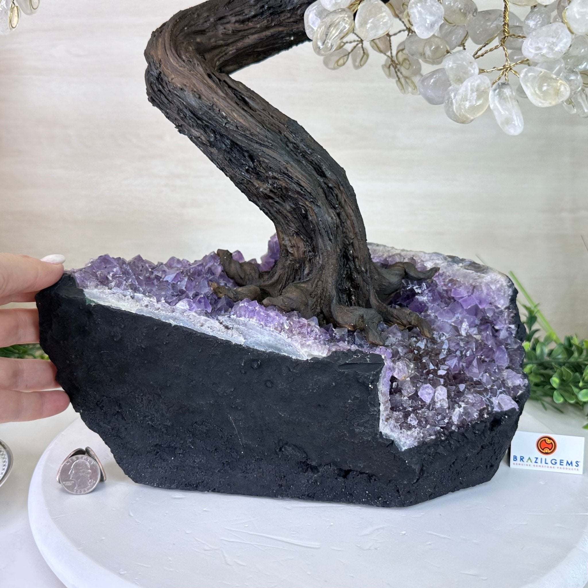 25" Tall Large Clear Quartz Gemstone Tree on an Amethyst Base, 720 gems #5407CQ - 009 - Brazil GemsBrazil Gems25" Tall Large Clear Quartz Gemstone Tree on an Amethyst Base, 720 gems #5407CQ - 009Gemstone Trees5407CQ - 009