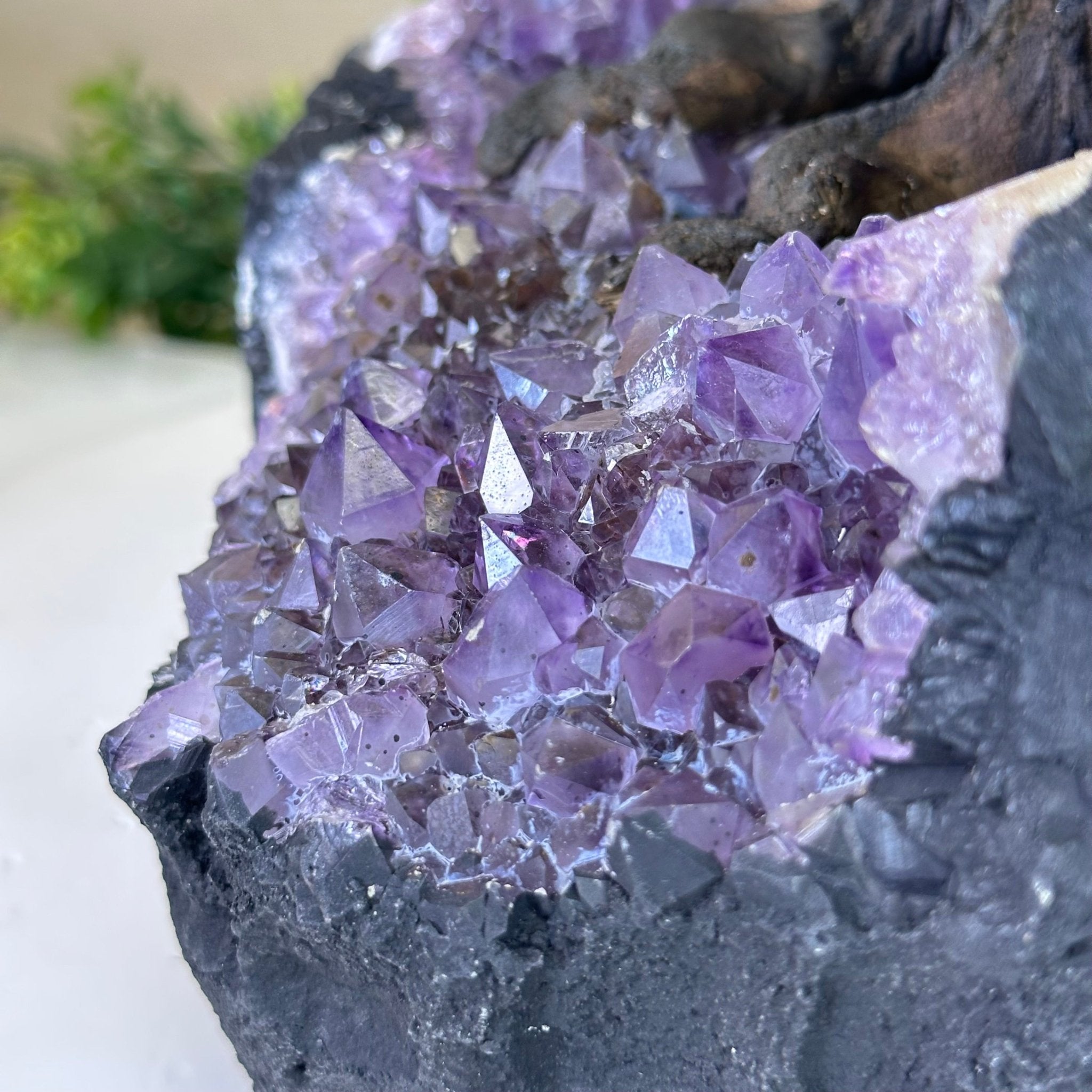 25" Tall Large Clear Quartz Gemstone Tree on an Amethyst Base, 720 gems #5407CQ - 009 - Brazil GemsBrazil Gems25" Tall Large Clear Quartz Gemstone Tree on an Amethyst Base, 720 gems #5407CQ - 009Gemstone Trees5407CQ - 009