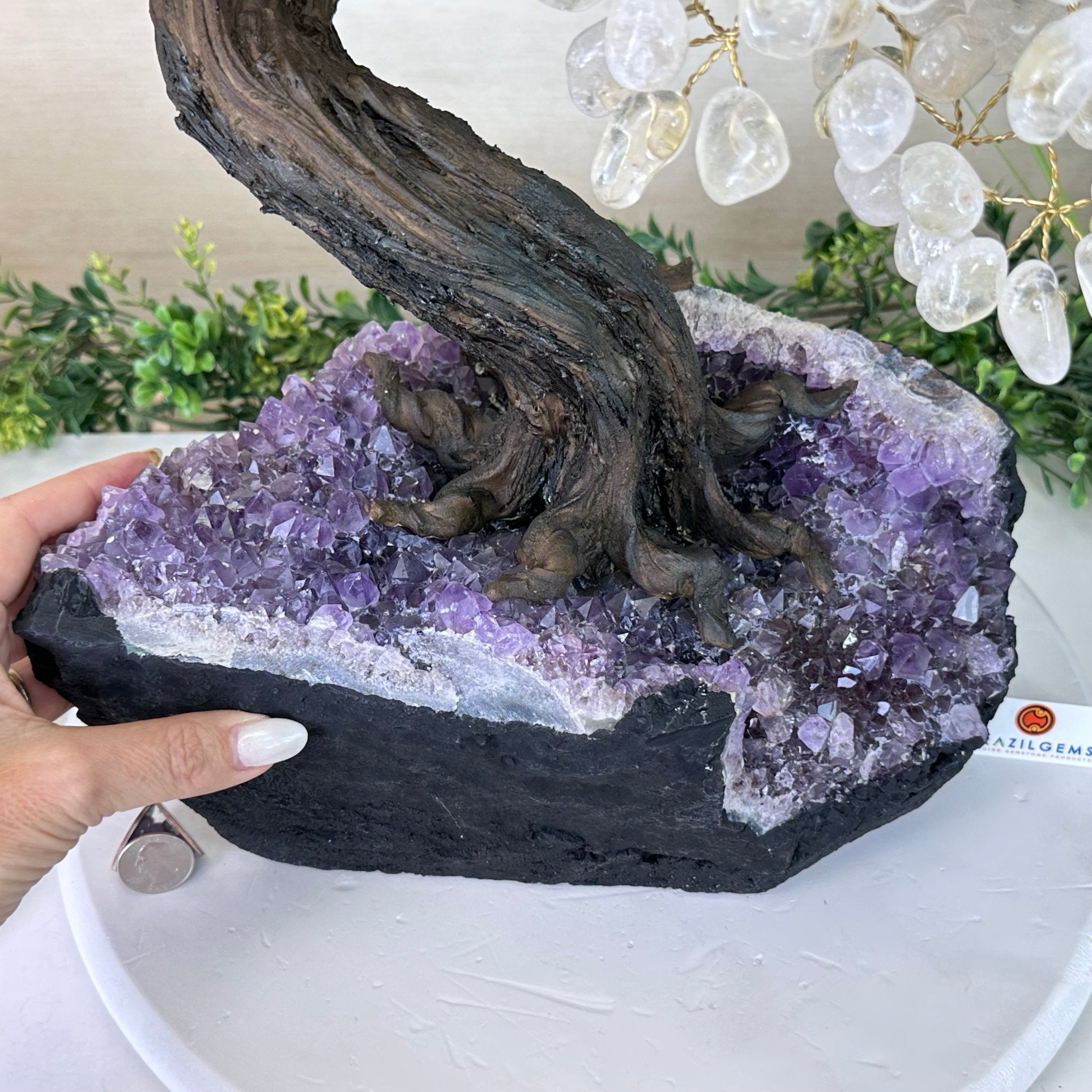 25" Tall Large Clear Quartz Gemstone Tree on an Amethyst Base, 720 gems #5407CQ - 009 - Brazil GemsBrazil Gems25" Tall Large Clear Quartz Gemstone Tree on an Amethyst Base, 720 gems #5407CQ - 009Gemstone Trees5407CQ - 009