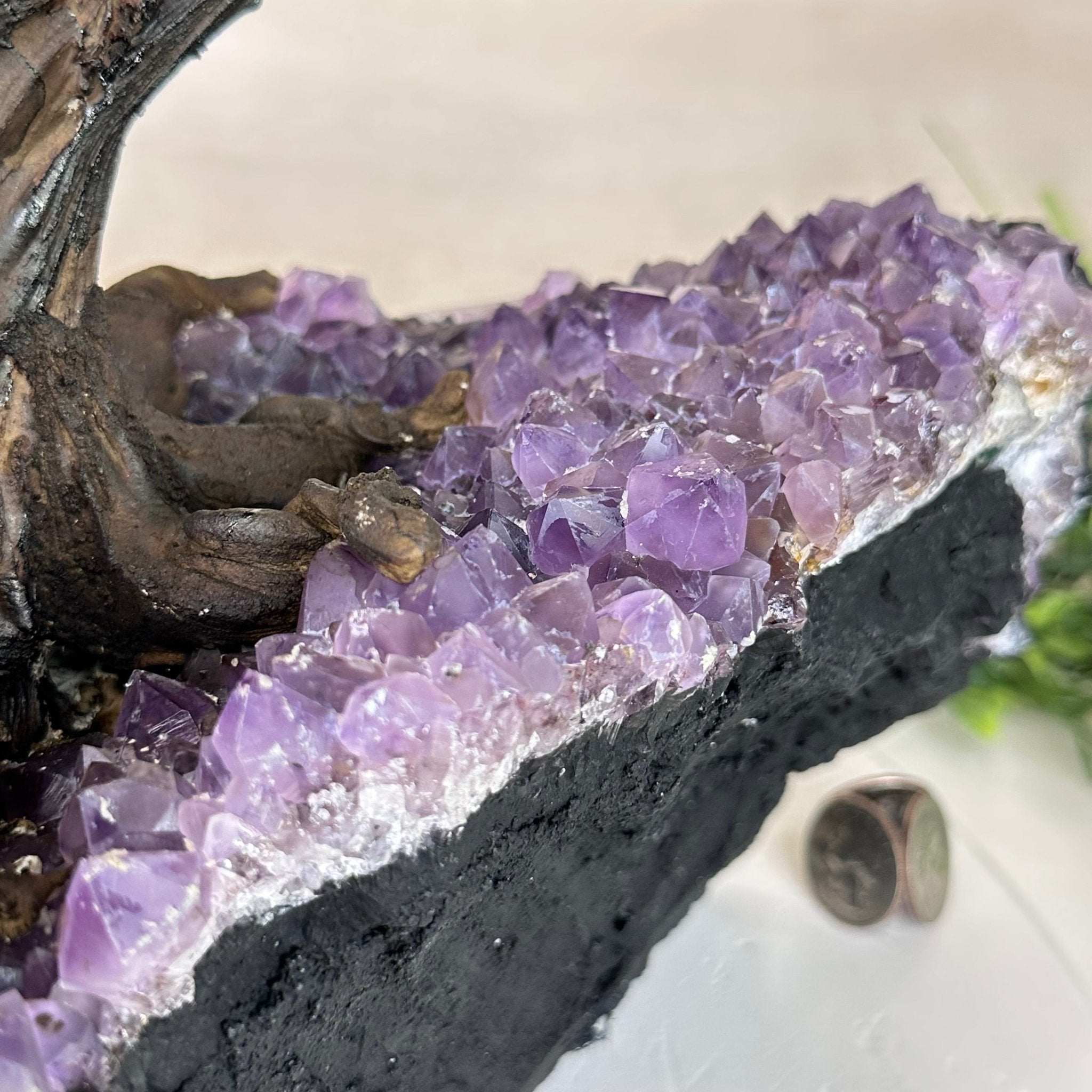 25" Tall Large Clear Quartz Gemstone Tree on an Amethyst Base, 720 gems #5407CQ - 009 - Brazil GemsBrazil Gems25" Tall Large Clear Quartz Gemstone Tree on an Amethyst Base, 720 gems #5407CQ - 009Gemstone Trees5407CQ - 009