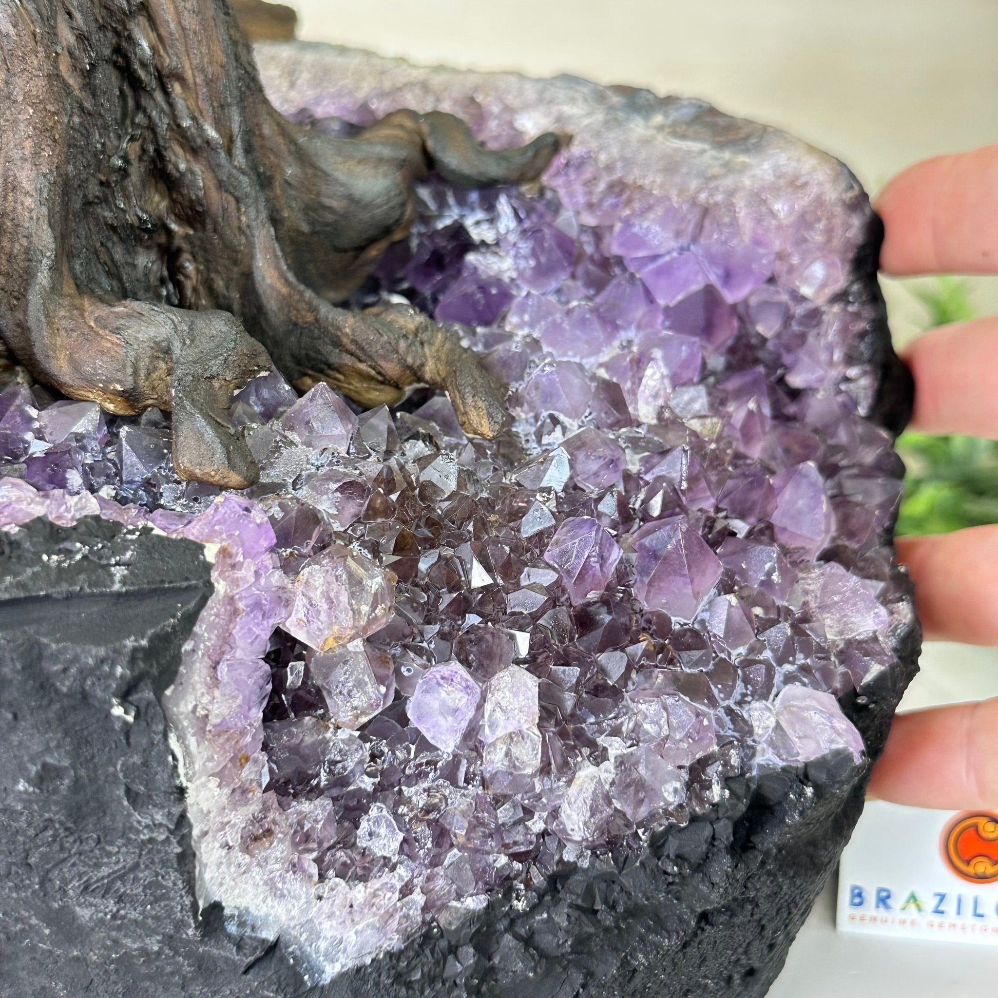 25" Tall Large Clear Quartz Gemstone Tree on an Amethyst Base, 720 gems #5407CQ - 009 - Brazil GemsBrazil Gems25" Tall Large Clear Quartz Gemstone Tree on an Amethyst Base, 720 gems #5407CQ - 009Gemstone Trees5407CQ - 009