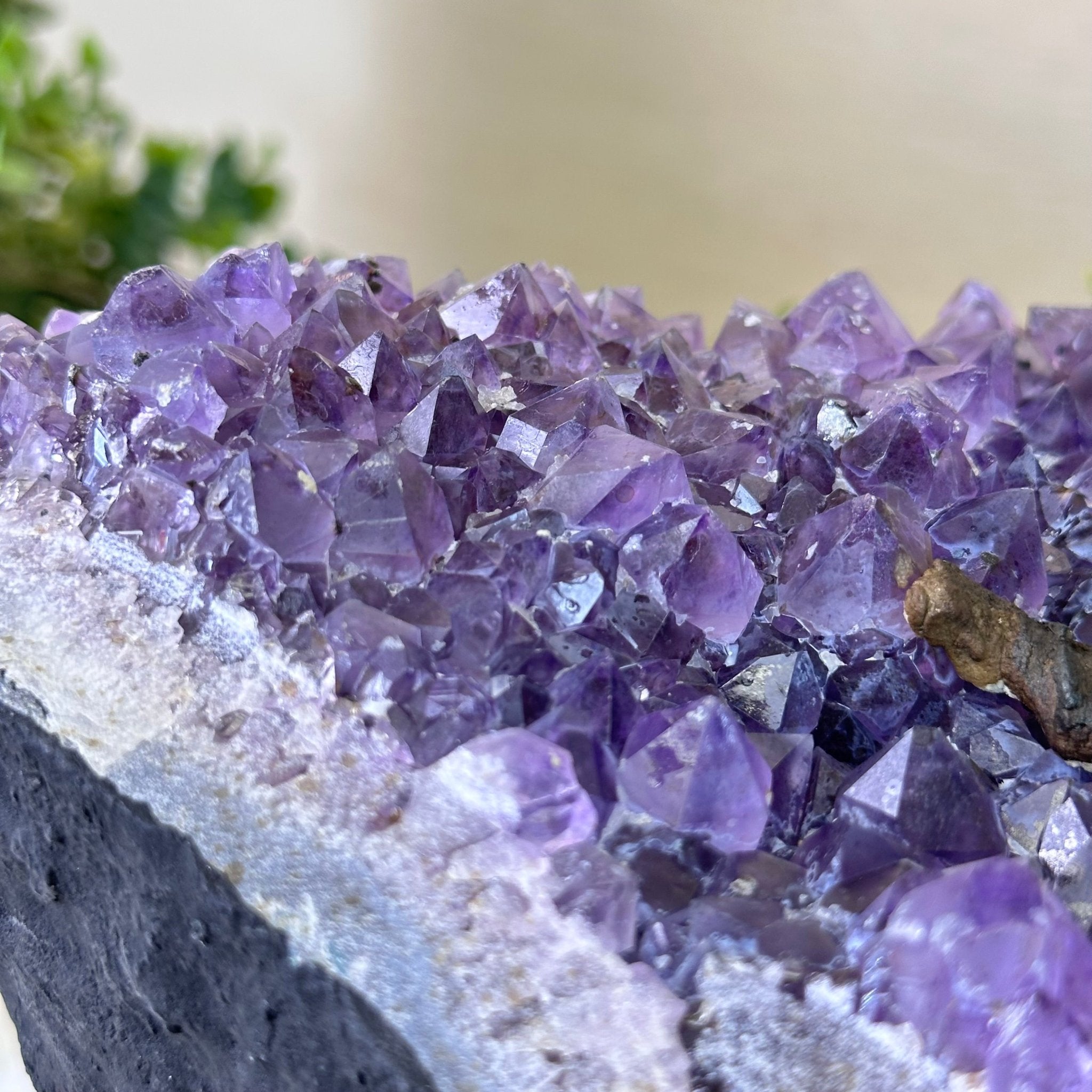 25" Tall Large Clear Quartz Gemstone Tree on an Amethyst Base, 720 gems #5407CQ - 009 - Brazil GemsBrazil Gems25" Tall Large Clear Quartz Gemstone Tree on an Amethyst Base, 720 gems #5407CQ - 009Gemstone Trees5407CQ - 009