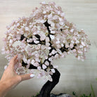 25" Tall Large Rose Quartz Gemstone Tree on an Amethyst Base, 720 gems #5407RQ - 016 - Brazil GemsBrazil Gems25" Tall Large Rose Quartz Gemstone Tree on an Amethyst Base, 720 gems #5407RQ - 016Gemstone Trees5407RQ - 016