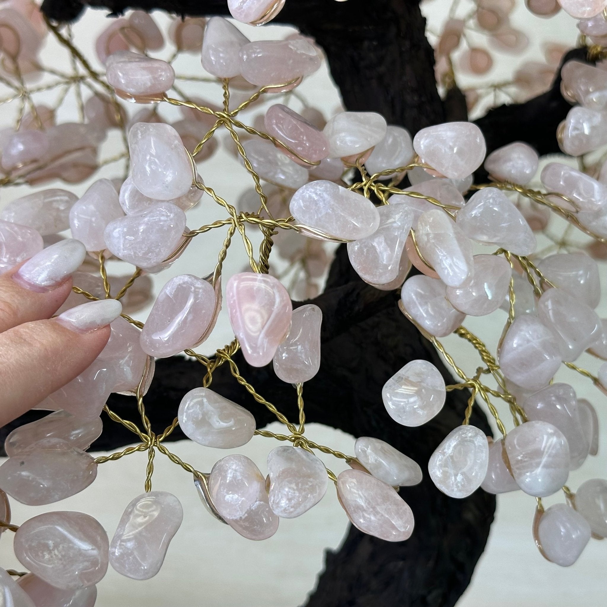 25" Tall Large Rose Quartz Gemstone Tree on an Amethyst Base, 720 gems #5407RQ - 016 - Brazil GemsBrazil Gems25" Tall Large Rose Quartz Gemstone Tree on an Amethyst Base, 720 gems #5407RQ - 016Gemstone Trees5407RQ - 016