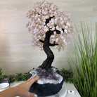 25" Tall Large Rose Quartz Gemstone Tree on an Amethyst Base, 720 gems #5407RQ - 016 - Brazil GemsBrazil Gems25" Tall Large Rose Quartz Gemstone Tree on an Amethyst Base, 720 gems #5407RQ - 016Gemstone Trees5407RQ - 016