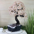 25" Tall Large Rose Quartz Gemstone Tree on an Amethyst Base, 720 gems #5407RQ - 016 - Brazil GemsBrazil Gems25" Tall Large Rose Quartz Gemstone Tree on an Amethyst Base, 720 gems #5407RQ - 016Gemstone Trees5407RQ - 016