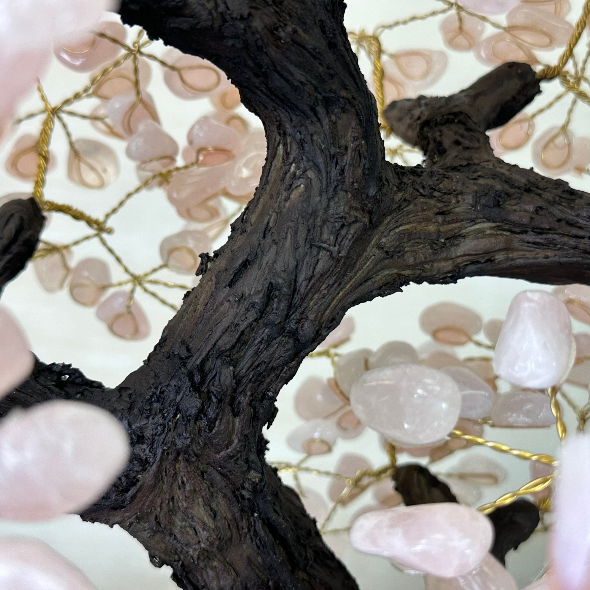 25" Tall Large Rose Quartz Gemstone Tree on an Amethyst Base, 720 gems #5407RQ - 016 - Brazil GemsBrazil Gems25" Tall Large Rose Quartz Gemstone Tree on an Amethyst Base, 720 gems #5407RQ - 016Gemstone Trees5407RQ - 016