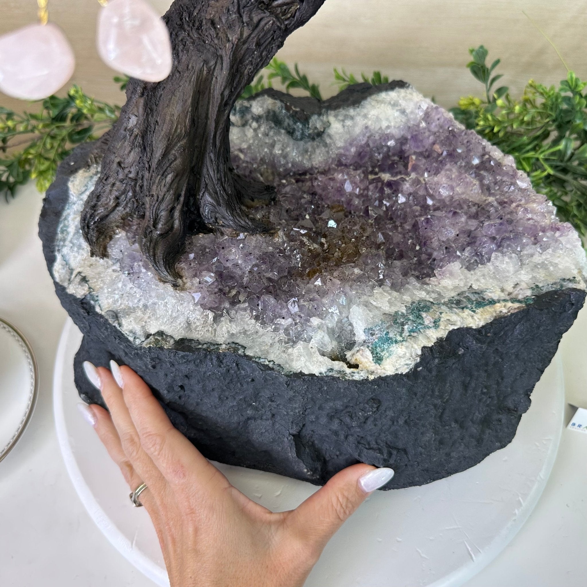 25" Tall Large Rose Quartz Gemstone Tree on an Amethyst Base, 720 gems #5407RQ - 016 - Brazil GemsBrazil Gems25" Tall Large Rose Quartz Gemstone Tree on an Amethyst Base, 720 gems #5407RQ - 016Gemstone Trees5407RQ - 016