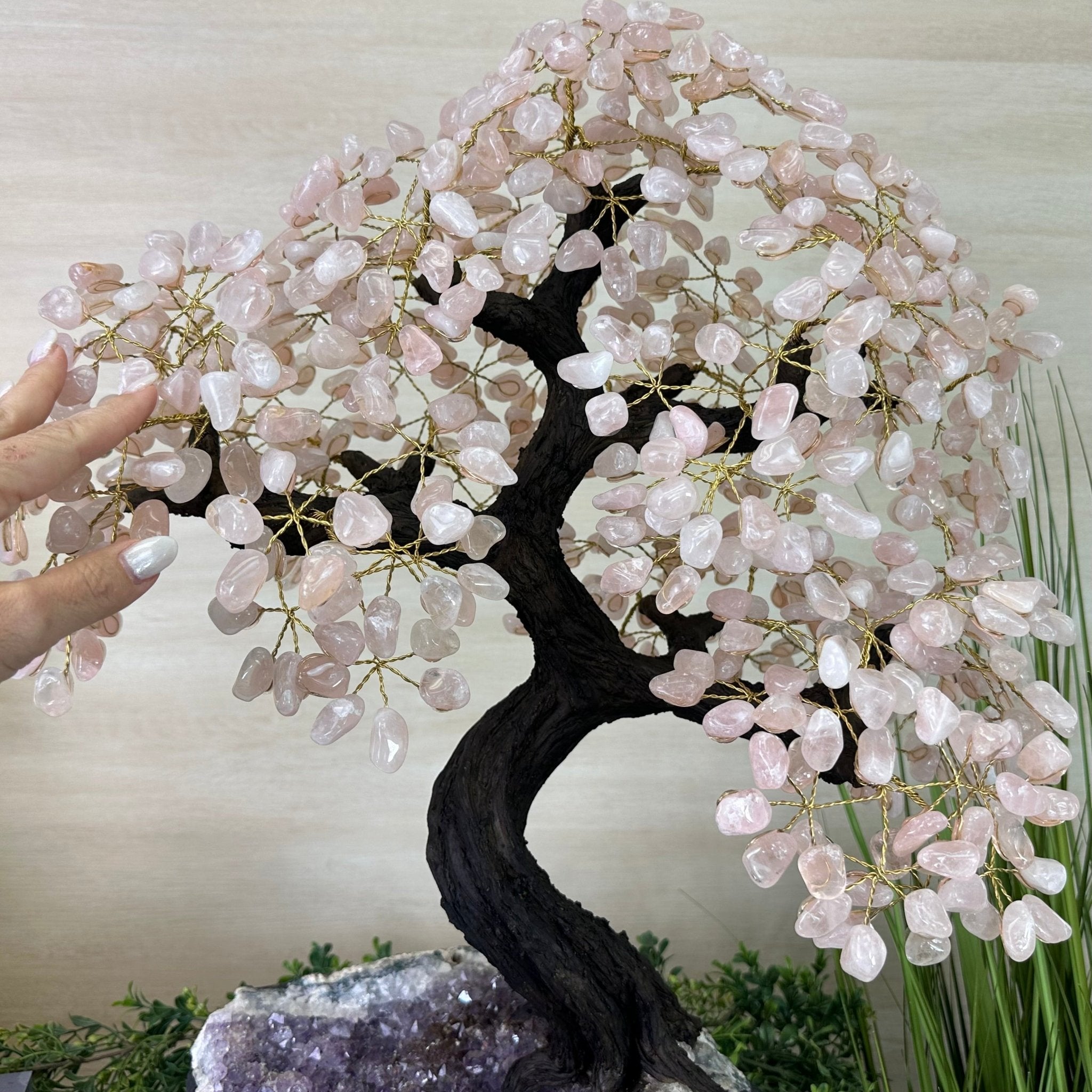 25" Tall Large Rose Quartz Gemstone Tree on an Amethyst Base, 720 gems #5407RQ - 016 - Brazil GemsBrazil Gems25" Tall Large Rose Quartz Gemstone Tree on an Amethyst Base, 720 gems #5407RQ - 016Gemstone Trees5407RQ - 016