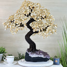 25.4" Tall Large Citrine Gemstone Tree on an Amethyst Base, 720 gems #5407CI - 014 - Brazil GemsBrazil Gems25.4" Tall Large Citrine Gemstone Tree on an Amethyst Base, 720 gems #5407CI - 014Gemstone Trees5407CI - 014