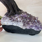 25.4" Tall Large Citrine Gemstone Tree on an Amethyst Base, 720 gems #5407CI - 014 - Brazil GemsBrazil Gems25.4" Tall Large Citrine Gemstone Tree on an Amethyst Base, 720 gems #5407CI - 014Gemstone Trees5407CI - 014