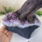 25.4" Tall Large Citrine Gemstone Tree on an Amethyst Base, 720 gems #5407CI - 014 - Brazil GemsBrazil Gems25.4" Tall Large Citrine Gemstone Tree on an Amethyst Base, 720 gems #5407CI - 014Gemstone Trees5407CI - 014