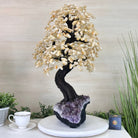 25.4" Tall Large Citrine Gemstone Tree on an Amethyst Base, 720 gems #5407CI - 014 - Brazil GemsBrazil Gems25.4" Tall Large Citrine Gemstone Tree on an Amethyst Base, 720 gems #5407CI - 014Gemstone Trees5407CI - 014