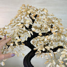 25.4" Tall Large Citrine Gemstone Tree on an Amethyst Base, 720 gems #5407CI - 014 - Brazil GemsBrazil Gems25.4" Tall Large Citrine Gemstone Tree on an Amethyst Base, 720 gems #5407CI - 014Gemstone Trees5407CI - 014