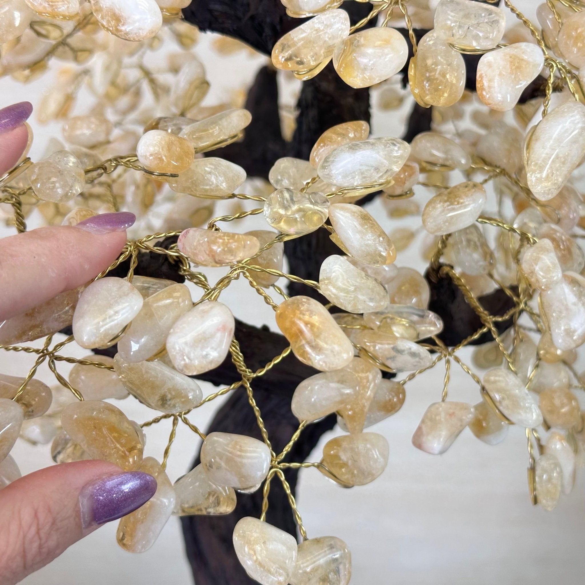 25.4" Tall Large Citrine Gemstone Tree on an Amethyst Base, 720 gems #5407CI - 014 - Brazil GemsBrazil Gems25.4" Tall Large Citrine Gemstone Tree on an Amethyst Base, 720 gems #5407CI - 014Gemstone Trees5407CI - 014