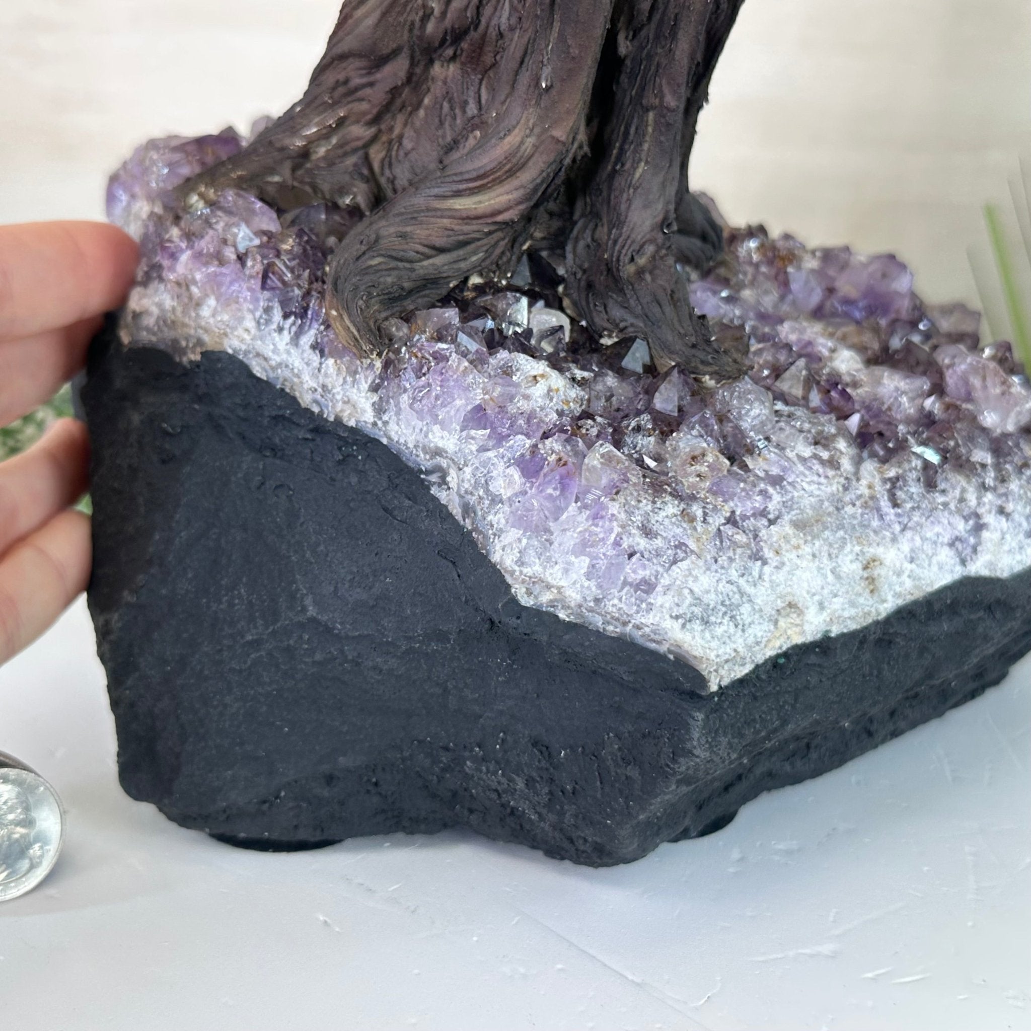 25.4" Tall Large Citrine Gemstone Tree on an Amethyst Base, 720 gems #5407CI - 014 - Brazil GemsBrazil Gems25.4" Tall Large Citrine Gemstone Tree on an Amethyst Base, 720 gems #5407CI - 014Gemstone Trees5407CI - 014