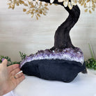 25.4" Tall Large Citrine Gemstone Tree on an Amethyst Base, 720 gems #5407CI - 014 - Brazil GemsBrazil Gems25.4" Tall Large Citrine Gemstone Tree on an Amethyst Base, 720 gems #5407CI - 014Gemstone Trees5407CI - 014