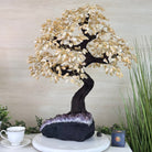 25.4" Tall Large Citrine Gemstone Tree on an Amethyst Base, 720 gems #5407CI - 014 - Brazil GemsBrazil Gems25.4" Tall Large Citrine Gemstone Tree on an Amethyst Base, 720 gems #5407CI - 014Gemstone Trees5407CI - 014